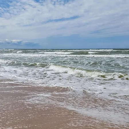 Pet Friendly In Grzybowo (West Pomeranian)